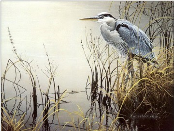 pájaro en la hierba cerca del agua Pinturas al óleo